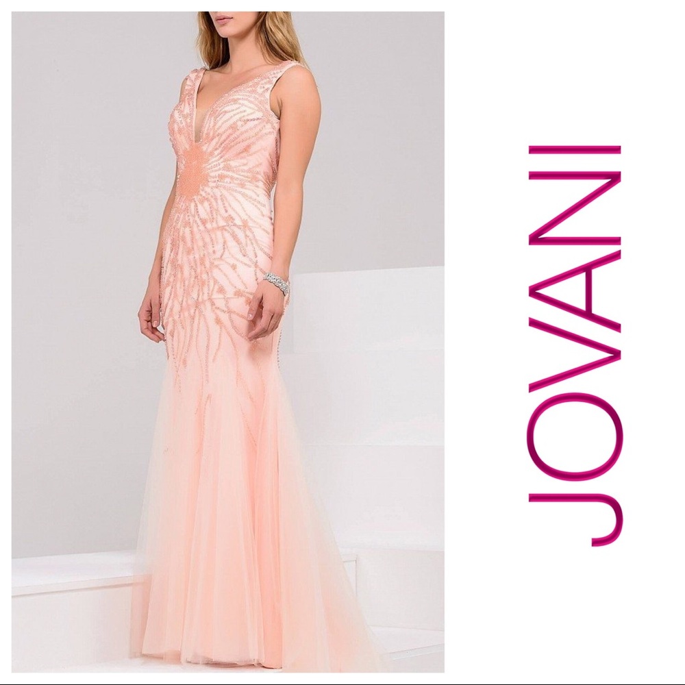 NWT JOVANI 22495 BLUSH  SZ 16 PLUS SIZE